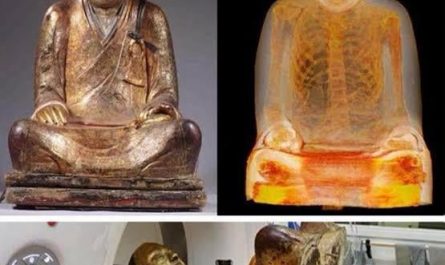 After a CT scan on this 1000 year old Buddha statue, scientists found the remains of a mummified monk inside