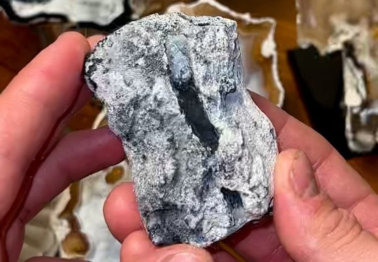 Agatized Coral Geode I found and polished