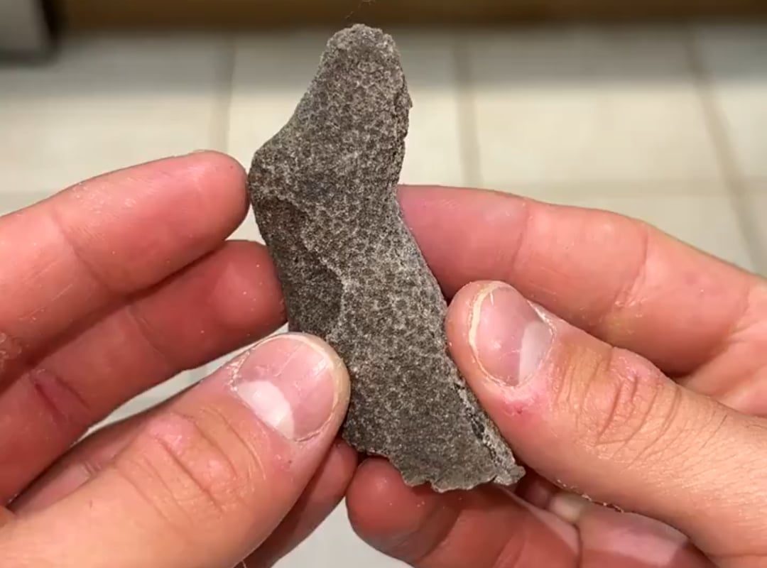 Agatized ancient coral, transformed into colorful quartz over millions of years