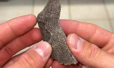 Agatized ancient coral, transformed into colorful quartz over millions of years