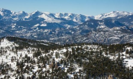 An American woman in Colorado was found dead today, apparently killed by a mountain lion. One of only approximately 30 reported such deaths in the last 100+ years
