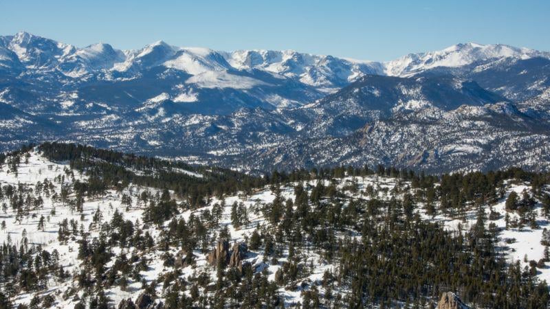 An American woman in Colorado was found dead today, apparently killed by a mountain lion. One of only approximately 30 reported such deaths in the last 100+ years