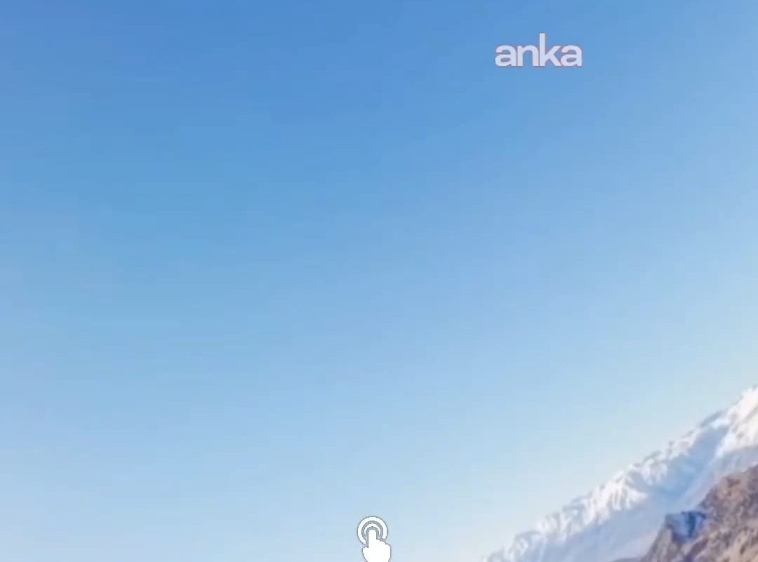 An eagle decided to give the drone a tour