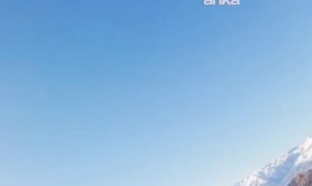 An eagle decided to give the drone a tour