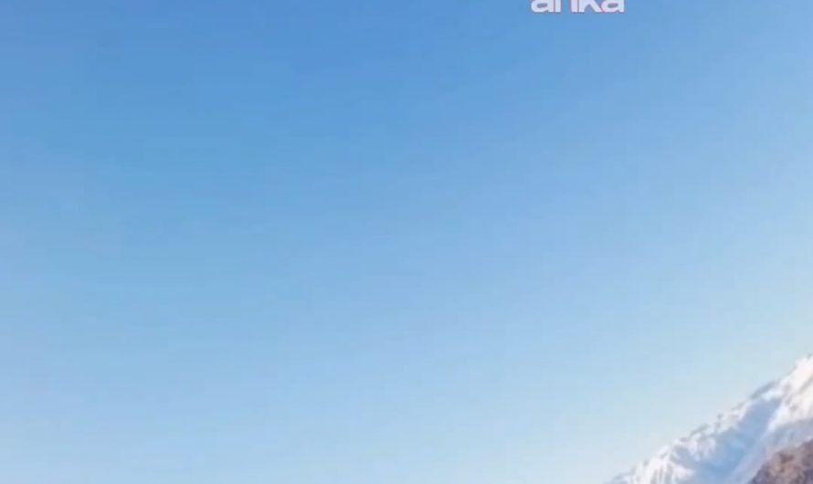 An eagle decided to give the drone a tour