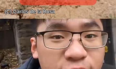 Ants Produce Carbon Emissions