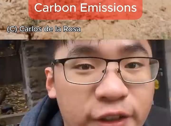 Ants Produce Carbon Emissions