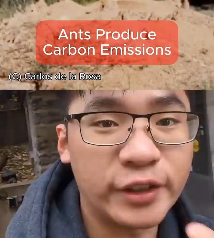 Ants Produce Carbon Emissions