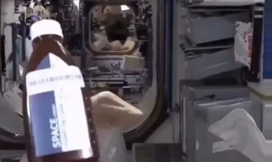 Astronaut eating bread and honey in space.