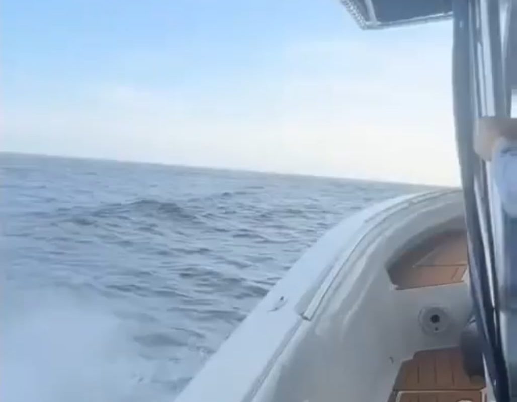 At first I thought they were going too fast and then the camera turned and I don't think they're going fast enough 🌊