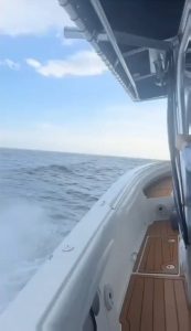 At first I thought they were going too fast and then the camera turned and I don't think they're going fast enough 🌊