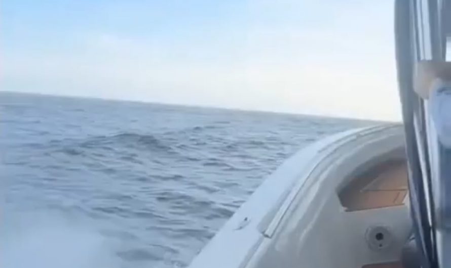 At first I thought they were going too fast and then the camera turned and I don’t think they’re going fast enough 🌊