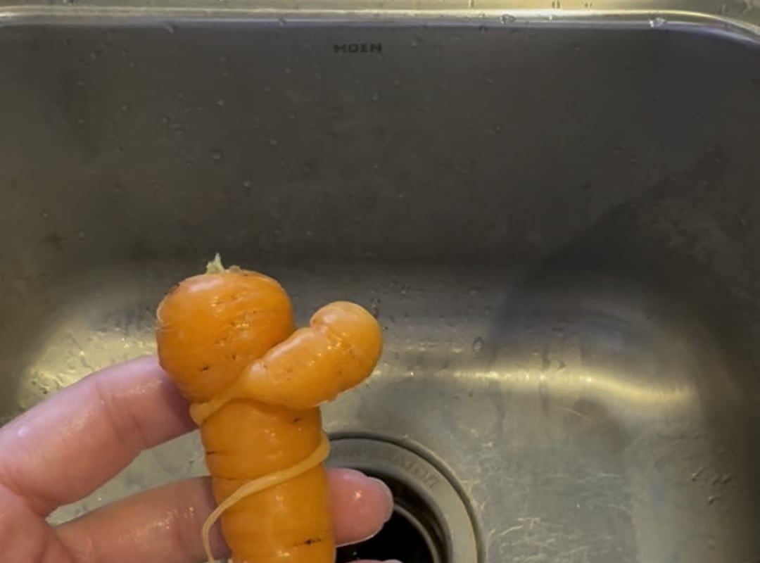Baby carrot wrapped around a neighbor.