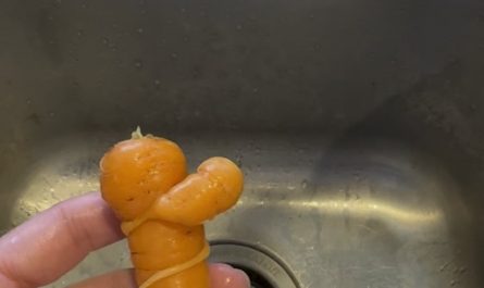 Baby carrot wrapped around a neighbor.