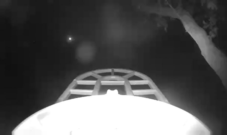 Bear went into my bird feeder