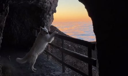 Beautiful mountain moments in Switzerland