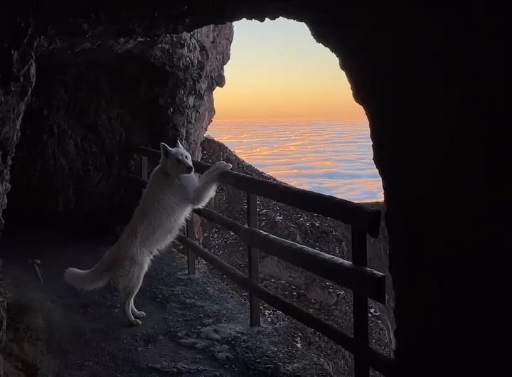 Beautiful mountain moments in Switzerland