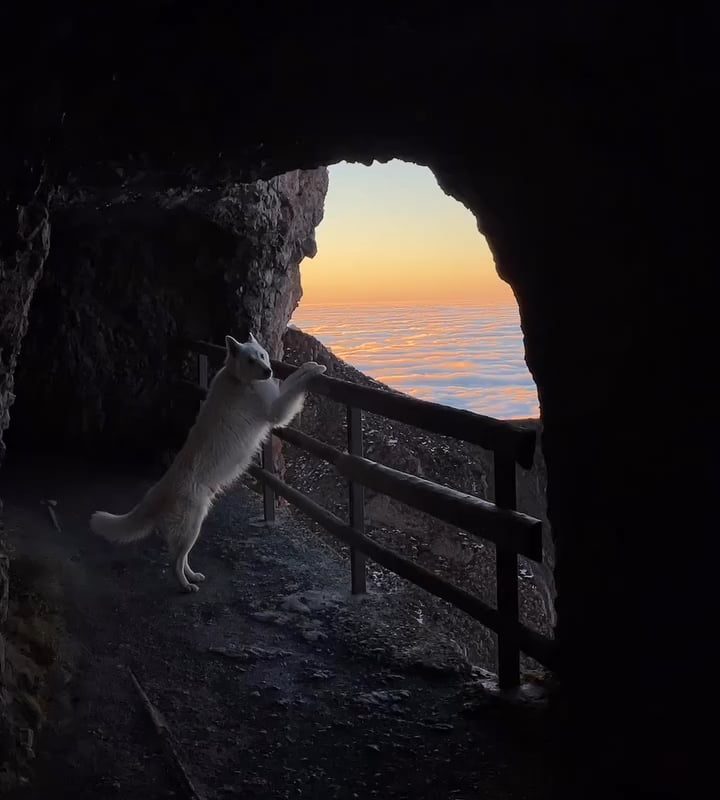 Beautiful mountain moments in Switzerland