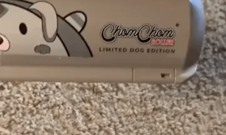 Better than a vacuum?