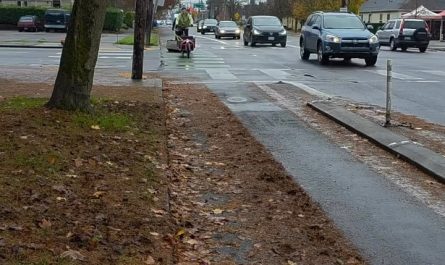 Bike lane cleaner