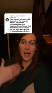 Biologist explains why raccoons will never be domesticated