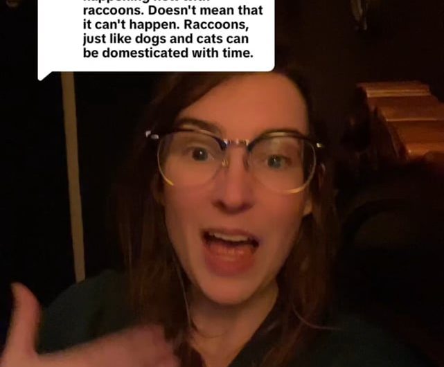 Biologist explains why raccoons will never be domesticated