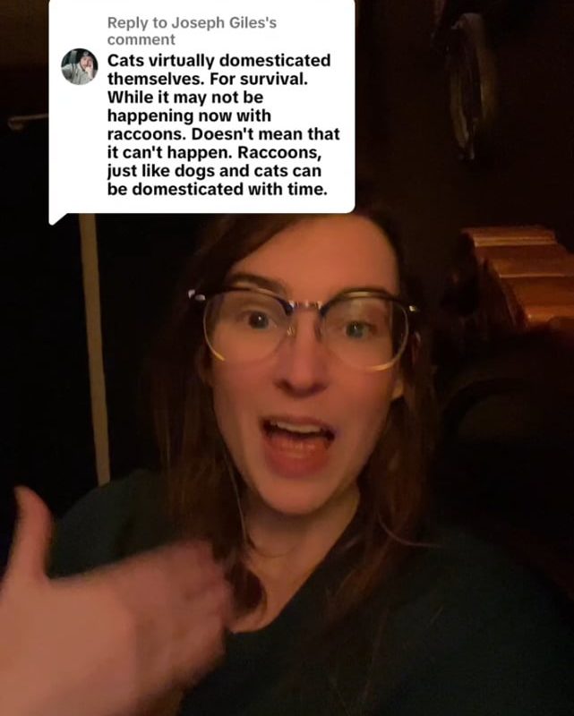 Biologist explains why raccoons will never be domesticated