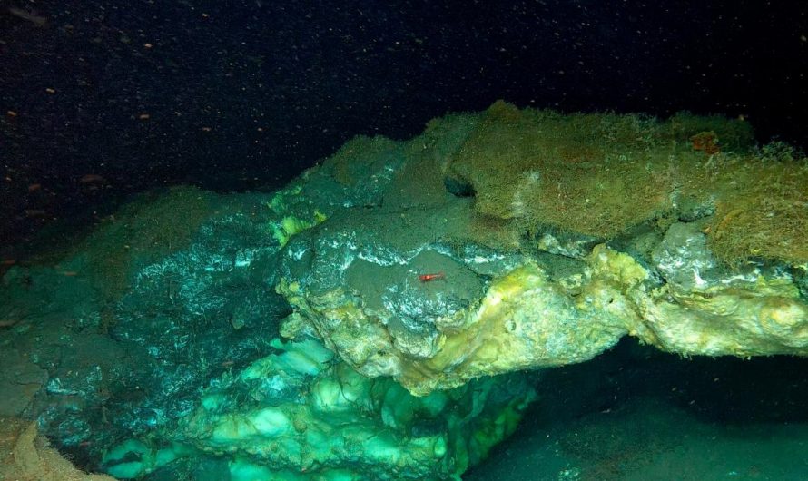 Bizarre Ecosystem Discovered More Than Two Miles beneath Arctic Ocean