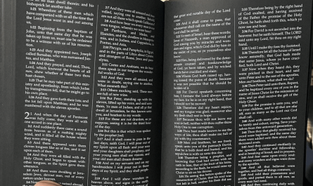 Book printed entirely on black pages giving it a striking appearance.