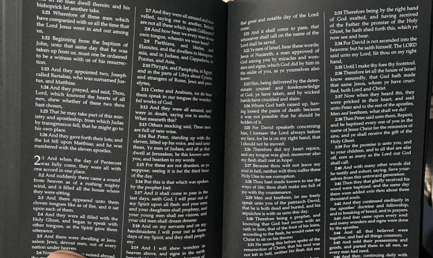 Book printed entirely on black pages giving it a striking appearance.