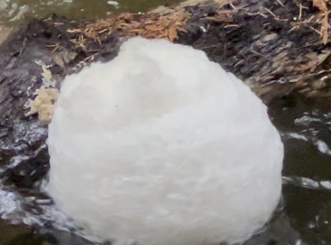 Bubble ball in the creek.
