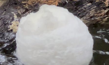 Bubble ball in the creek.