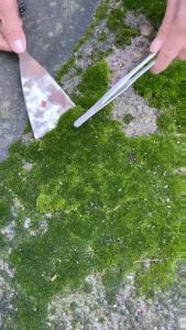 Building a world in a jar