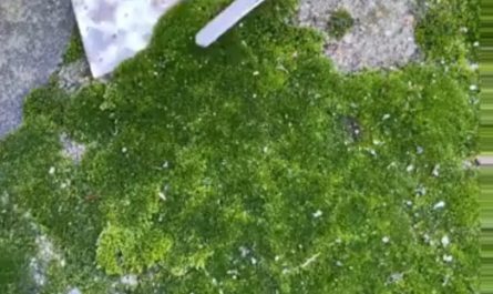 Building a world in a jar