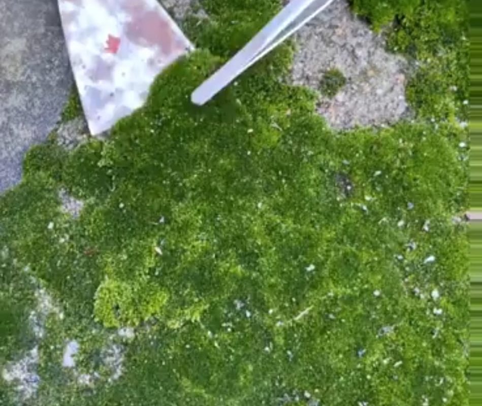 Building a world in a jar