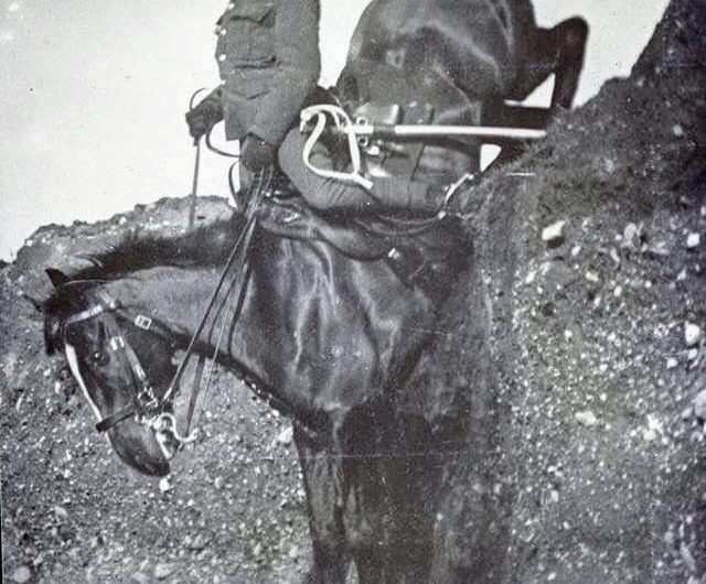 Calvary horses traversing steep terrain.