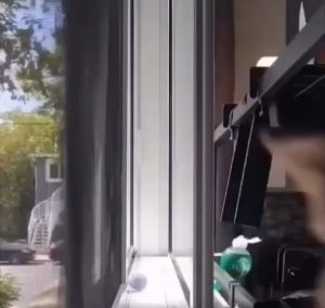 Cat does a little back flip to get out of a jam