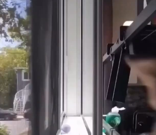 Cat does a little back flip to get out of a jam