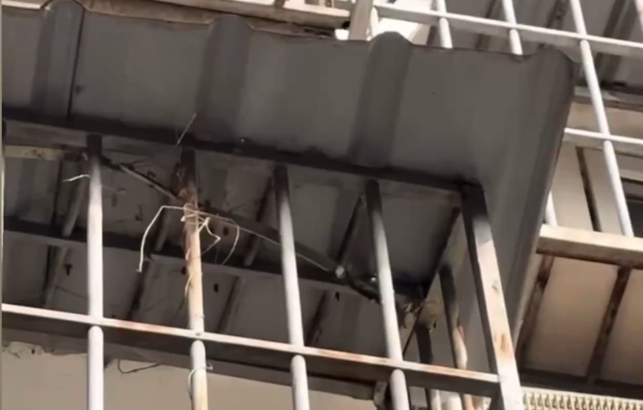 Cat flexing its flexibility. Like a snake