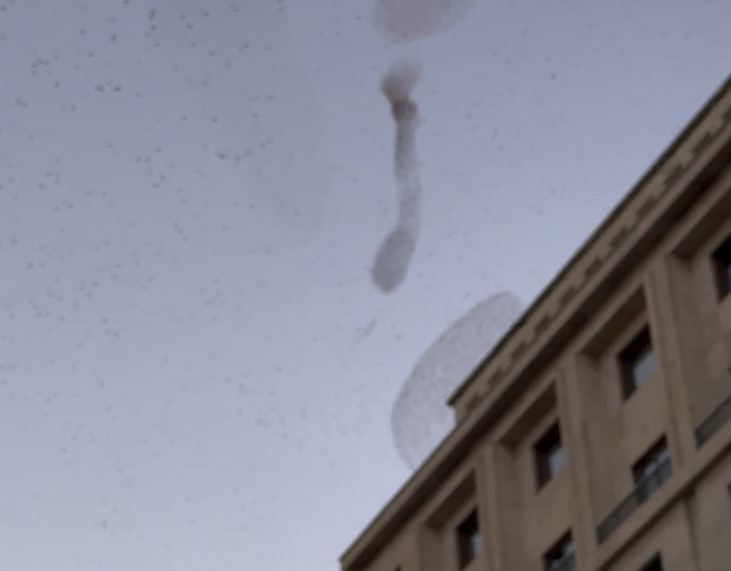 Caught this massive murmuration today. The way they move together is genuinely trippy to see in person.