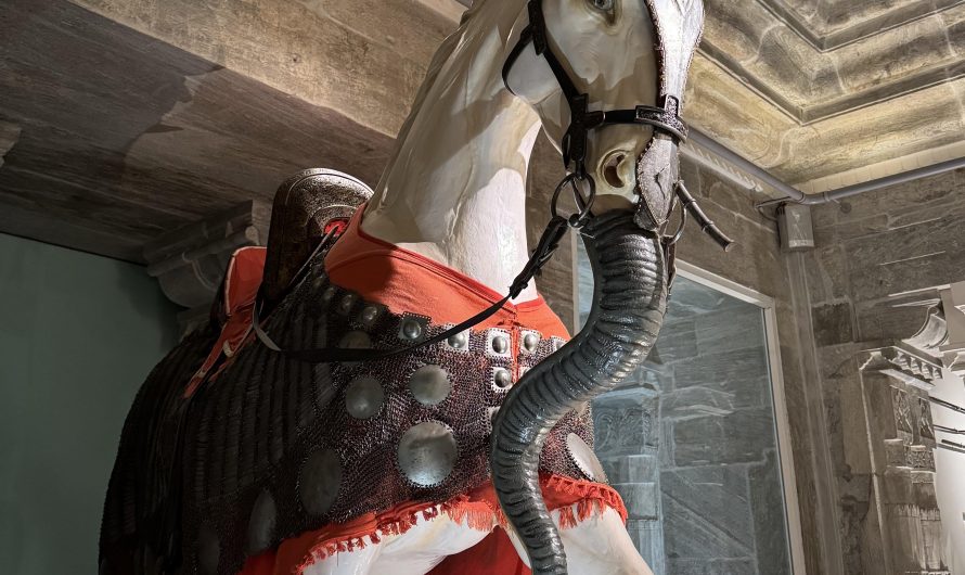 Chetak – warhorses of Rajput kings of India, outfitted with fake elephant trunk to confuse enemy war elephants.