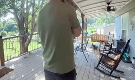 Chillest dude ever gets attacked by the most aggressive squirrel in the world