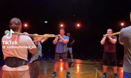 Cirque du Soleil performers practicing.