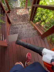 Cleaning up with a leaf blower