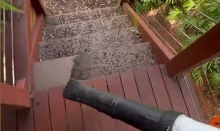 Cleaning up with a leaf blower