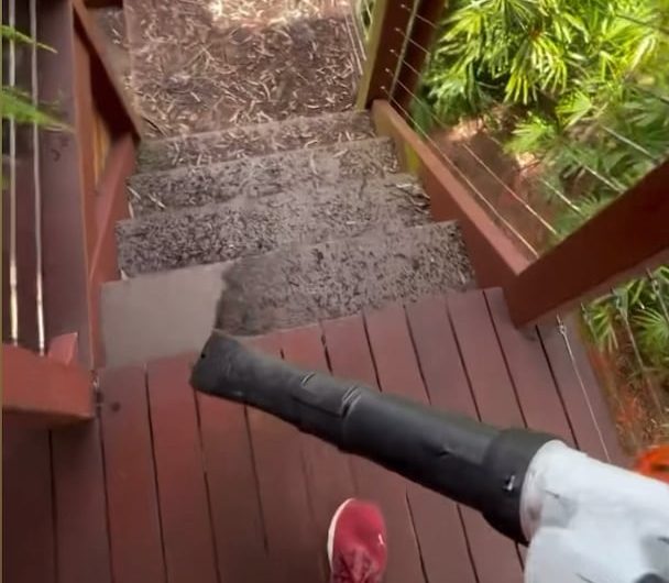 Cleaning up with a leaf blower
