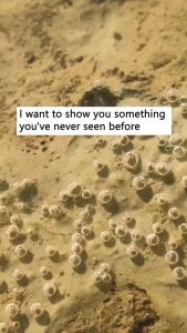 Close-up shot of tiny bubbles in a puddle of water