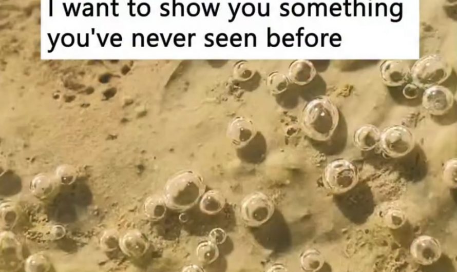 Close-up shot of tiny bubbles in a puddle of water