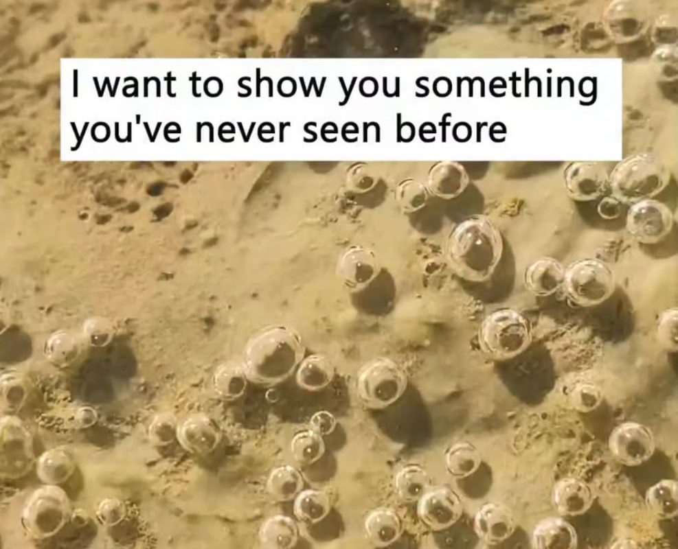 Close-up shot of tiny bubbles in a puddle of water