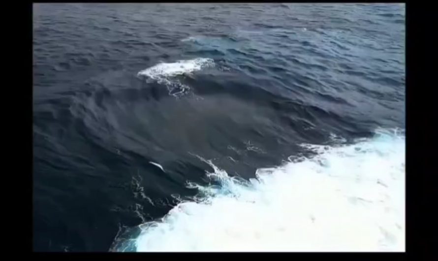 Collision of 4 waves captured in Australia. One of the mysterious sea events which wasn’t discovered by the scientists until recently